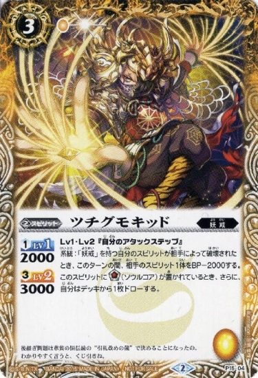 P15-04 �ĥ����⥭�å�