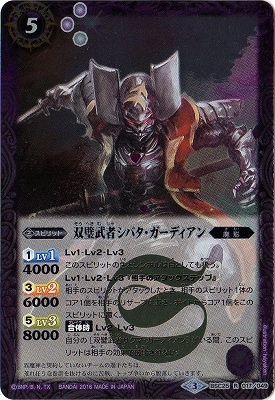 ڥʰ¡BSC25-017 ԥХǥ R2016