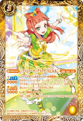 BSC35-A003 Υ饤ޡ󥰥ǡᲵ2019