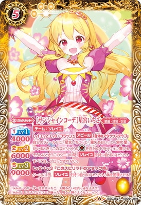 BSC35-A009 Υ󥷥㥤󥳡ǡܤ R2019