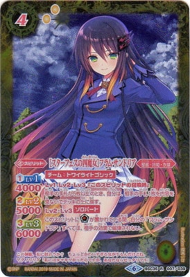 ڥѥBSC35-007 Υեλϥեࡦɥꥢ R2019