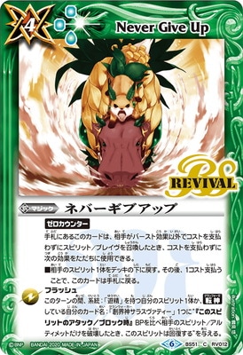 BS51-RV012 ͥС֥åס2020