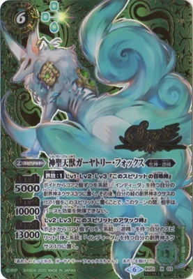 SECRETBS51-X03 ŷåȥ꡼եå X2020