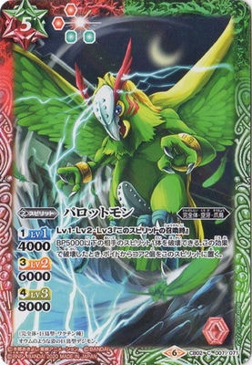 CB11CB02-007 ѥåȥ2020