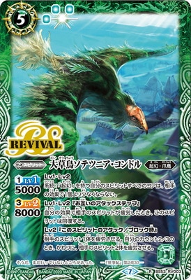 BS53-RV003 ����Ļ���ƥĥ˥�������ɥ� R��2020��