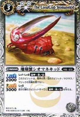 ��BSC09��BS05-032 ���곪�����ޥͥ��å� U��2012��