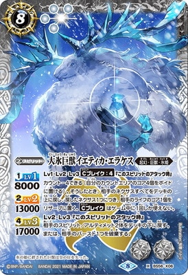 BS56-X06 ��ɹ��å����ƥ��������饱�� X��2021��