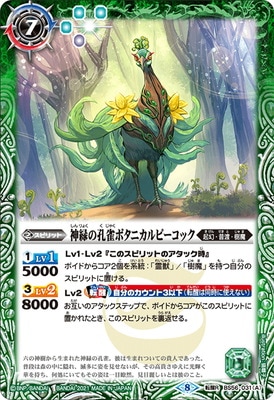 BS56-031 (A)���Фι����ܥ��˥���ԡ����å���(B)�̲ڿ�Ļ�ܥ��˥���ԡ����å� ž��R��2021��