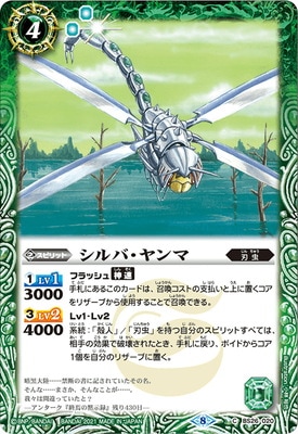 BSC38BS26-020 Сޡ2021