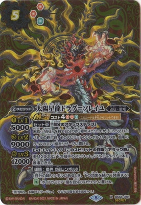 SECRETBS58-X01 ζɥ饰᥽쥤 X2021