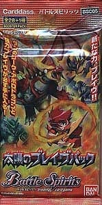 ��̤������[BSC05]���ۤΥ֥쥤���ѥå�  1�ѥå�