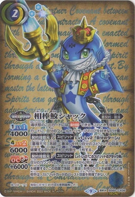 ��SECRET��BS60-CX06 ����������å� ����X��2022��
