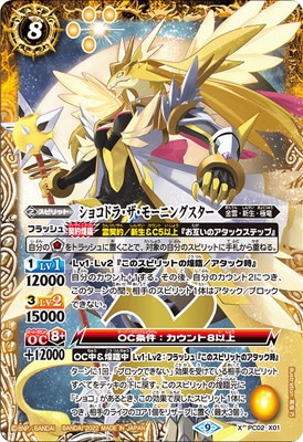 PC02-X01 ���祳�ɥ顦�����⡼�˥󥰥����� X