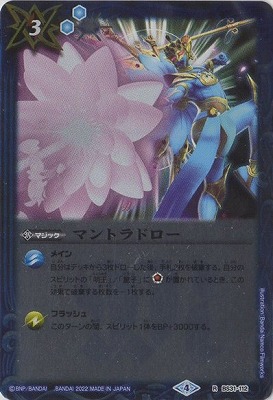 �ڥ����ϡ����ǡ�BS31-112 �ޥ�ȥ�ɥ��� R��2022��