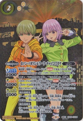 ��SECRET��CB26-CX05 �ۥ��󡦥ѥ������顼�顦���㥤�������� ����X