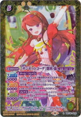 �ڥץ�Х�����BSC35-A010 �Υ��󥻥åȥ����ǡϻ�� �� R��2023��