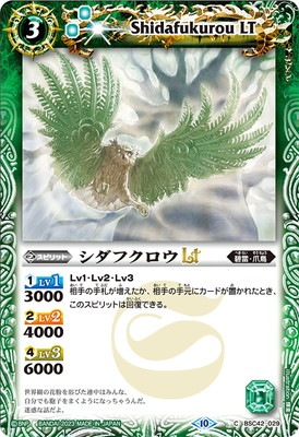 BSC42-029 �����ե�����LT��2023��