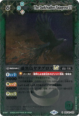 ڥ꡼ղùBSC42-035 Ļ䥿LT R2023