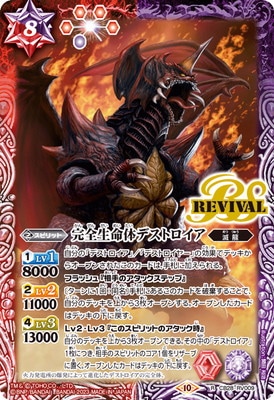 CB28-RV009 ������̿�Υǥ��ȥ����� R