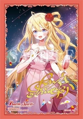 ڥॹ꡼ Vol.02 10thѡƥ֥ۡ쥤Сס80