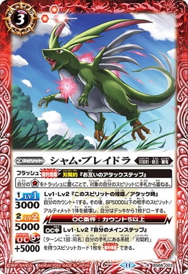 BS68-003 ࡦ֥쥤ɥ R2024