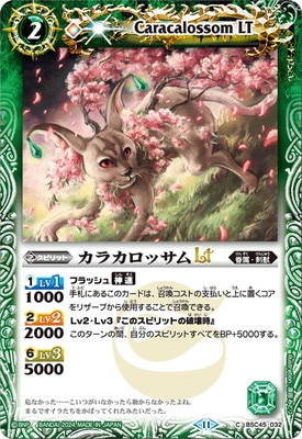 BSC45-032 ���饫���å���LT��2024��