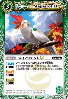 BSC45-034 �ᥤ�ѥ��å�LT��2024��