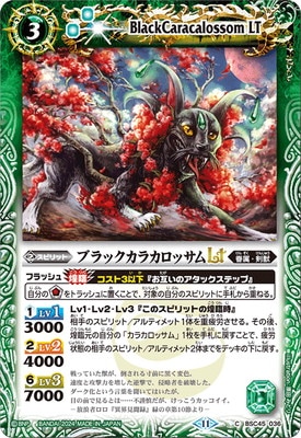 BSC45-036 �֥�å����饫���å���LT��2024��