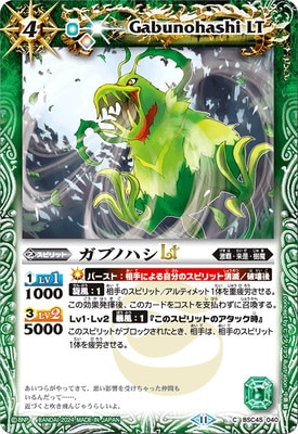 BSC45-040 ���֥Υϥ�LT��2024��