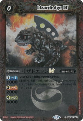 �ڥ�꡼�ղù���BSC45-001 �ꥶ�ɥ��å�LT��2024��