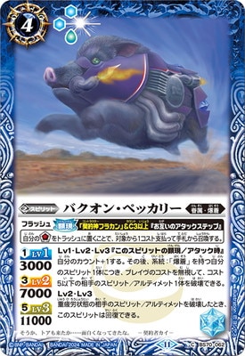 BS70-062 Х󡦥ڥå꡼2024