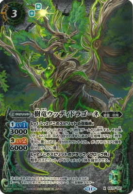 SECRETBS70-027 εåǥɥ饴 M2024