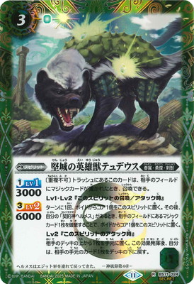 ��SECRET��BS71-024 ����α�ͺ�åƥ�ǥ��� R��2025��