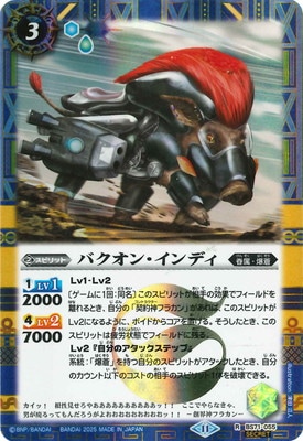 ��SECRET��BS71-055 �Х����󡦥���ǥ� R��2025��