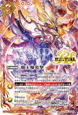 �ڥץ�ߥ��५���ɥ��쥯����� 2024 �����٥��ȡ�SD56-RV008 �Ʋ�������2024��