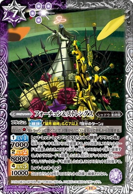 CB33-058 �ե������������ȥ�󥰥���2025��