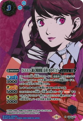 SECRETCB33-005 S.E.E.S.Ʈϳٱ 椫 2 M2025
