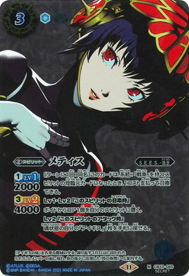 SECRETCB33-060 ƥ M2025