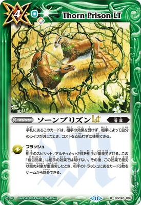 ��BS72��BSC45-097 ������ץꥺ��LT R��2025��