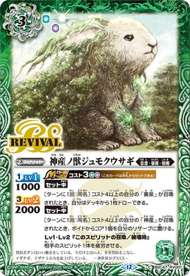 BSC47-RV001 �����νå���⥯��������2025��