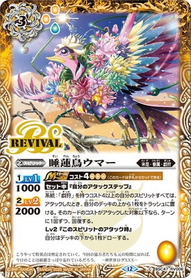 BSC47-RV006 ��ϡĻ���ޡ���2025��