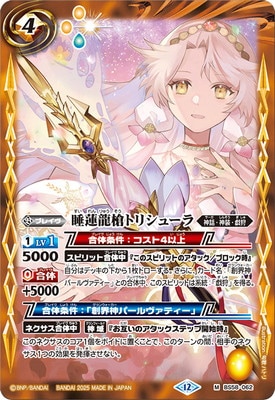 ��BSC47��BS58-062 ��ϡζ��ȥꥷ�塼�� M��2025��