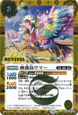 SECRETBSC47-RV006 ϡĻޡ2025