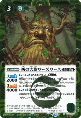 SECRETۡBSC47BS54-023 2025