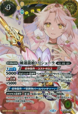 SECRETۡBSC47BS58-062 ϡζȥꥷ塼 M2025