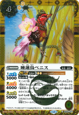 ��SECRET�ۡ�BSC47��BS60-053 ��ϡĻ�٥˥���2025��