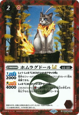 SECRETBSC48-001 ۥ饰ɡLT2025