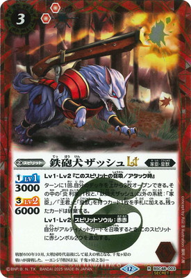 SECRETBSC48-003 ŴˤåLT2025