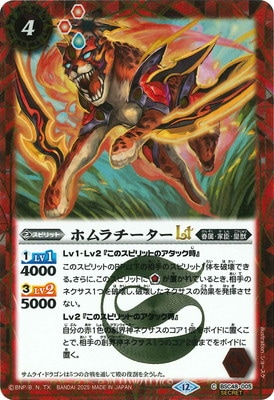 SECRETBSC48-005 ۥLT2025