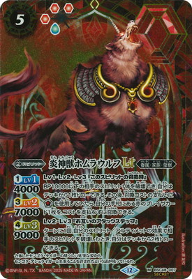 SECRETBSC48-007 åۥ饦LT M2025